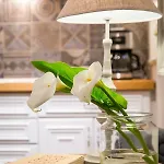 Nyaraló Lianelia Boutique Argyrades