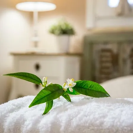 Feriehus Lianelia Boutique *